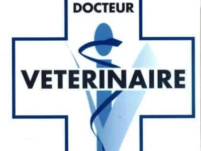 Docteur veterinaire