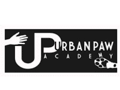 Urban Paw academy