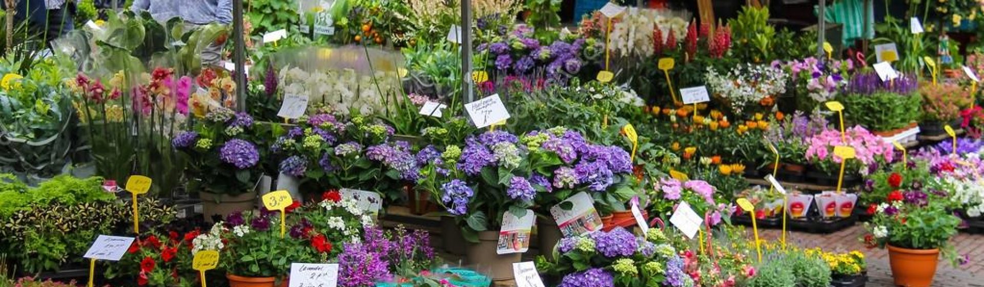 Service de décoration florale à Montauban – Bothyflore SARL