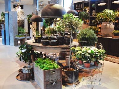 Service de jardinerie à Aulnay sous Bois – Plantes’S Déco