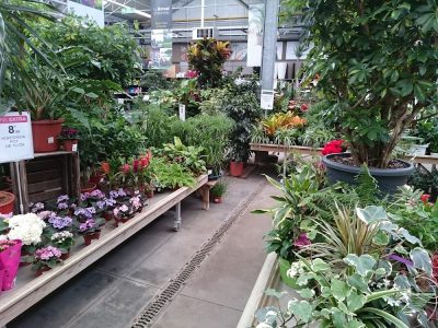 Service de jardinerie à Beauvais – Defoix Laurent