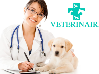 Service de vétérinaire à Hyères – Clinique Vétérinaire Du Vieux Château